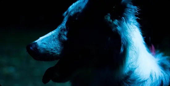 Luana Neira aluno do curso fotografia digital iniciante da ABRA 